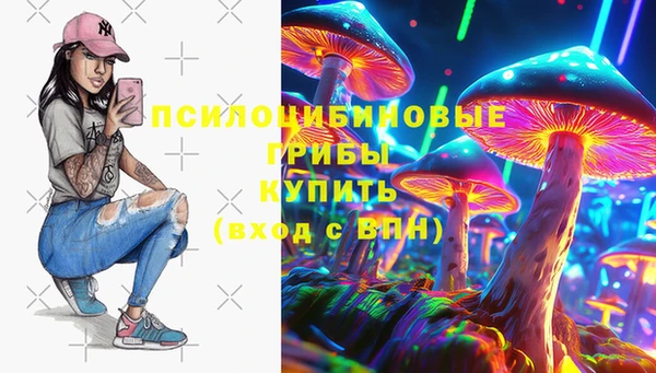 дурь Горнозаводск