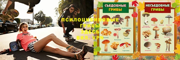 молекула духа Горно-Алтайск