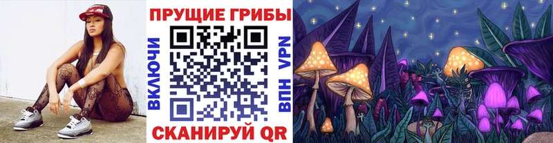 Купить  Семикаракорск  Псилоцибиновые грибы Cubensis 